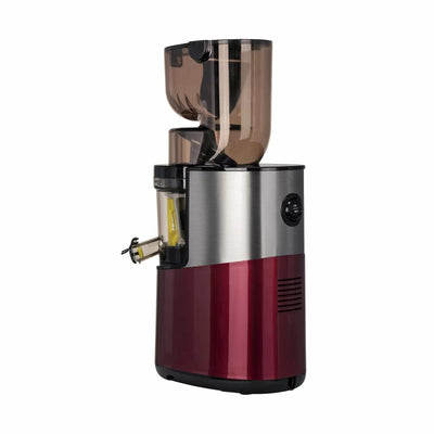 Extracteur de jus Whole Slow Juicer