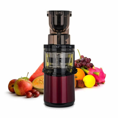 Extracteur de jus Whole Slow Juicer